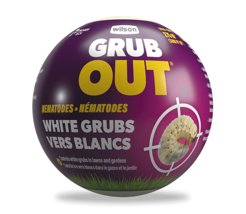 Nematodes against grubs Grub Out