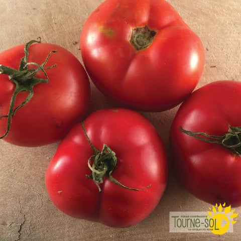 Montreal Tasty Red Tomato Seeds *Organic*